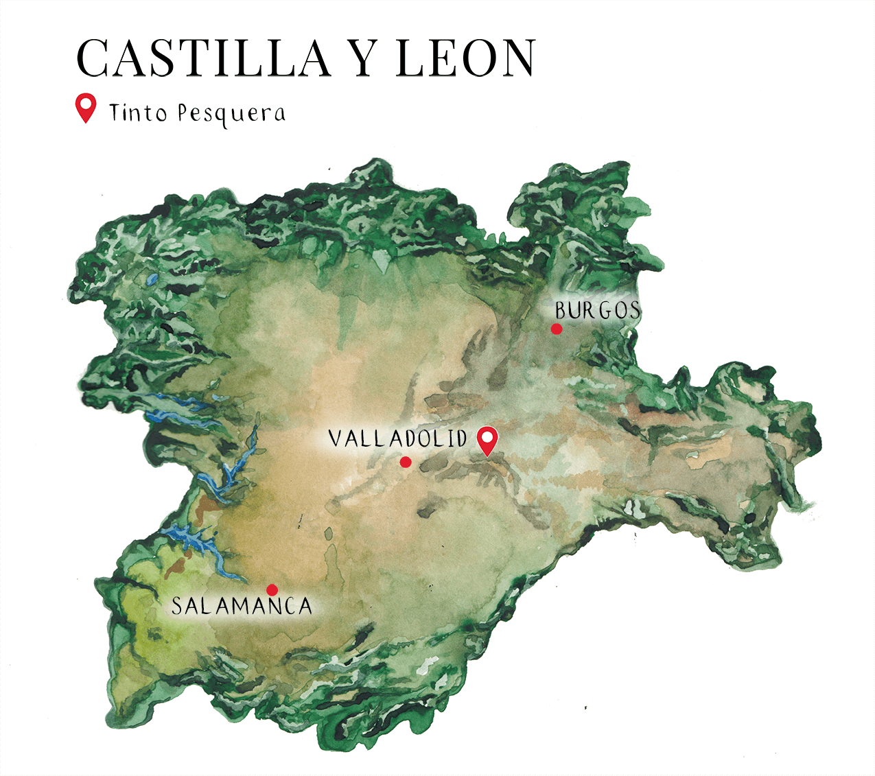 Ribera del Duero, Castilla y León