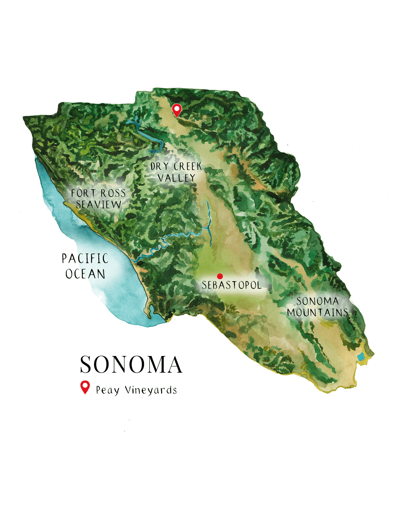 Sonoma Coast, California, United States