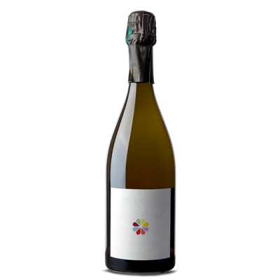 Pierre Moncuit Coulmet Blanc de Blancs 2019