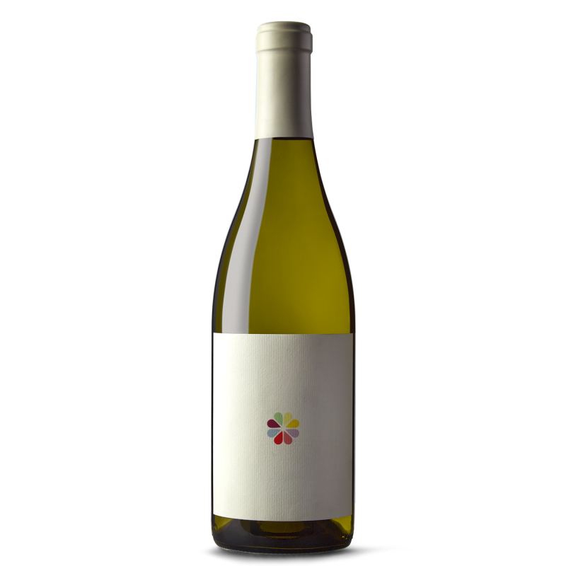 Miani Pettarin Ribolla Gialla Colli Orientali del Friuli 2021