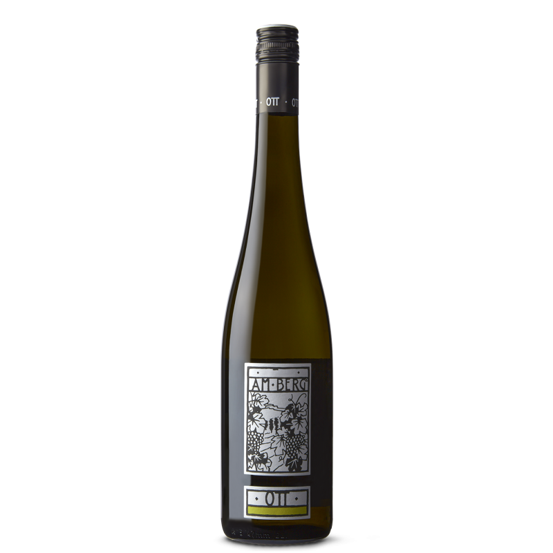 Bernhard Ott Am Berg Gruner Veltliner 2024