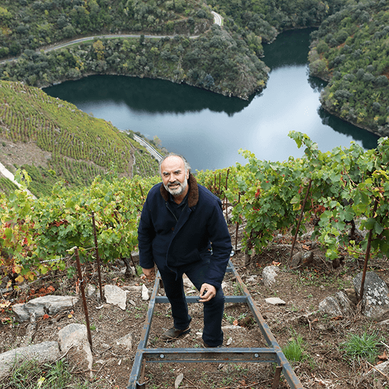 Fernando Algueira in the vineyard