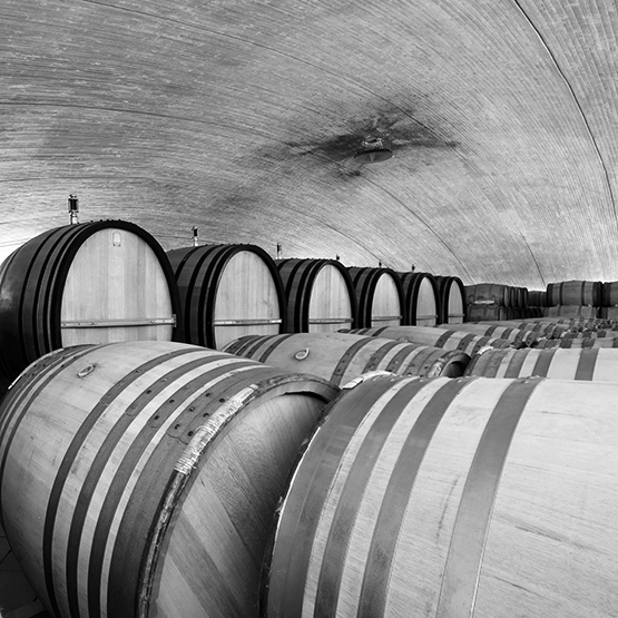 Alavaro Palacios Cellar with Barrels