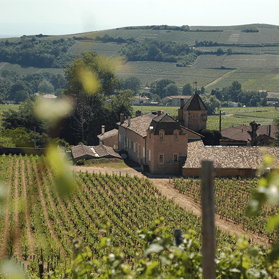 Château Fuissé Vineyard & Winery