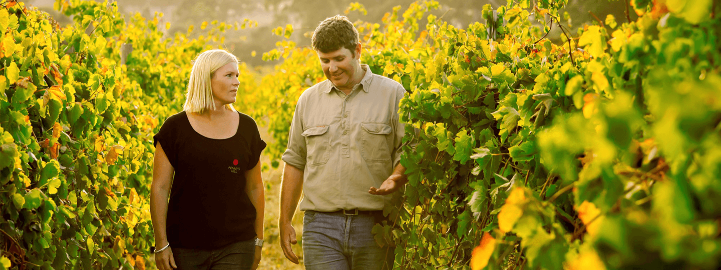 The Chook's Tony and Susie Parkinson in the vineyards