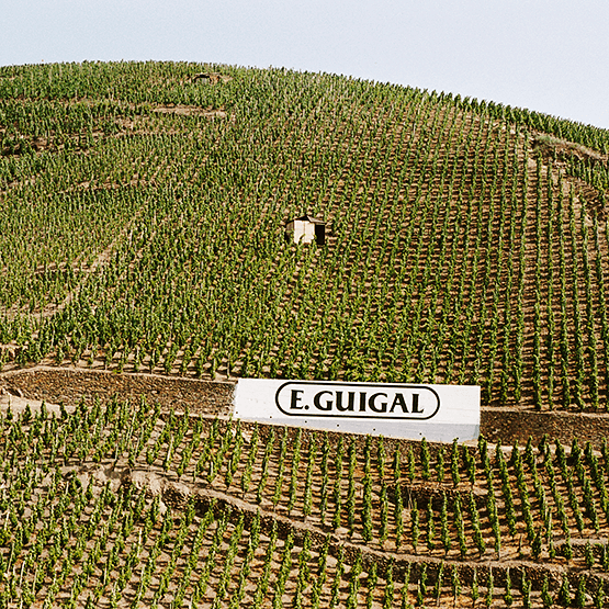 The 'La Turque' vineyard in Côte-Rotie