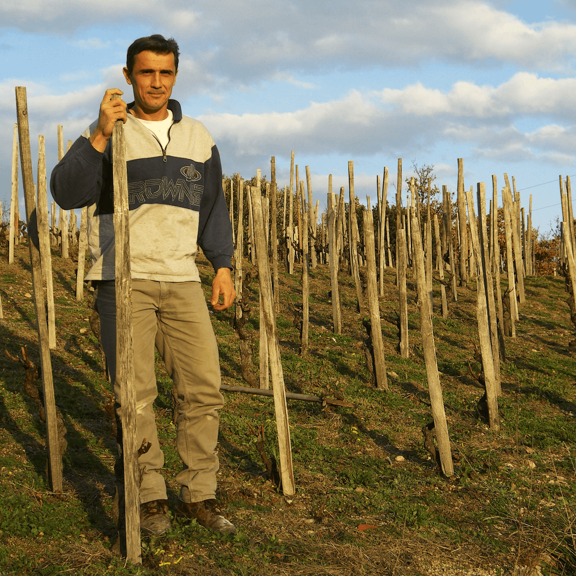 Franck Balthazar in the vineyards