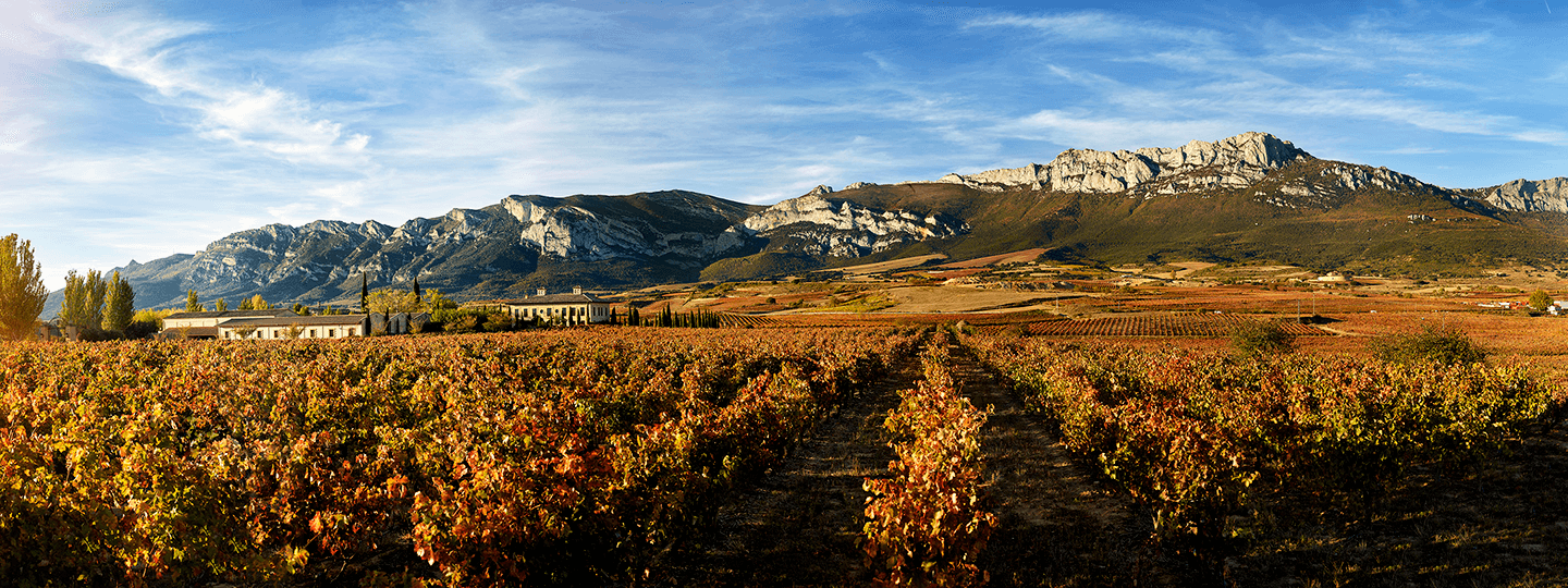 La Rioja Alta Vineyard