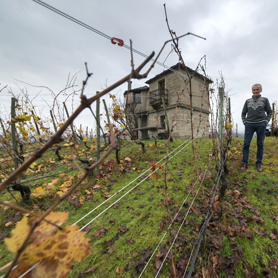 Les Crêtes Vineyards