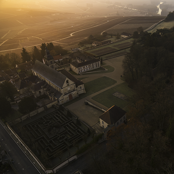 Moët et Chandon Winery Panorama