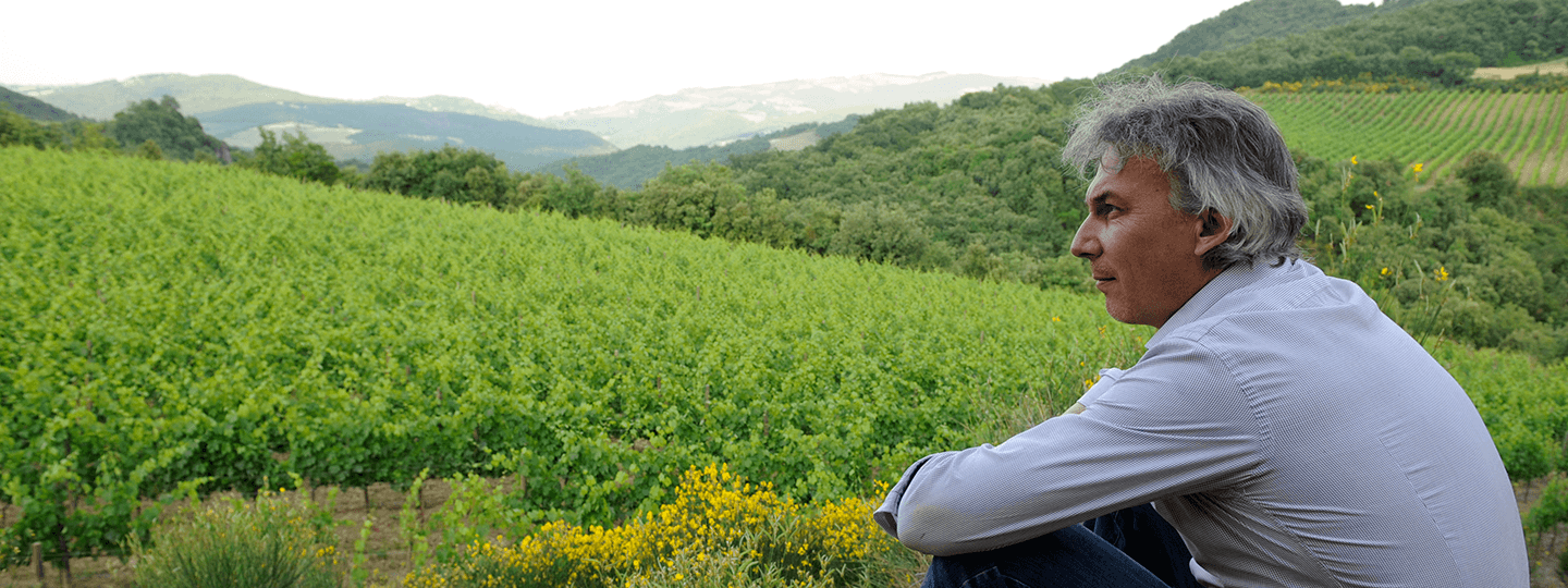 Jan Hendrik Erbach of Pian dell'Orino in Vineyard