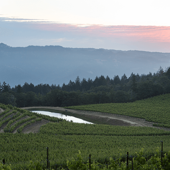 Pride Mountain vineyard and resevoir
