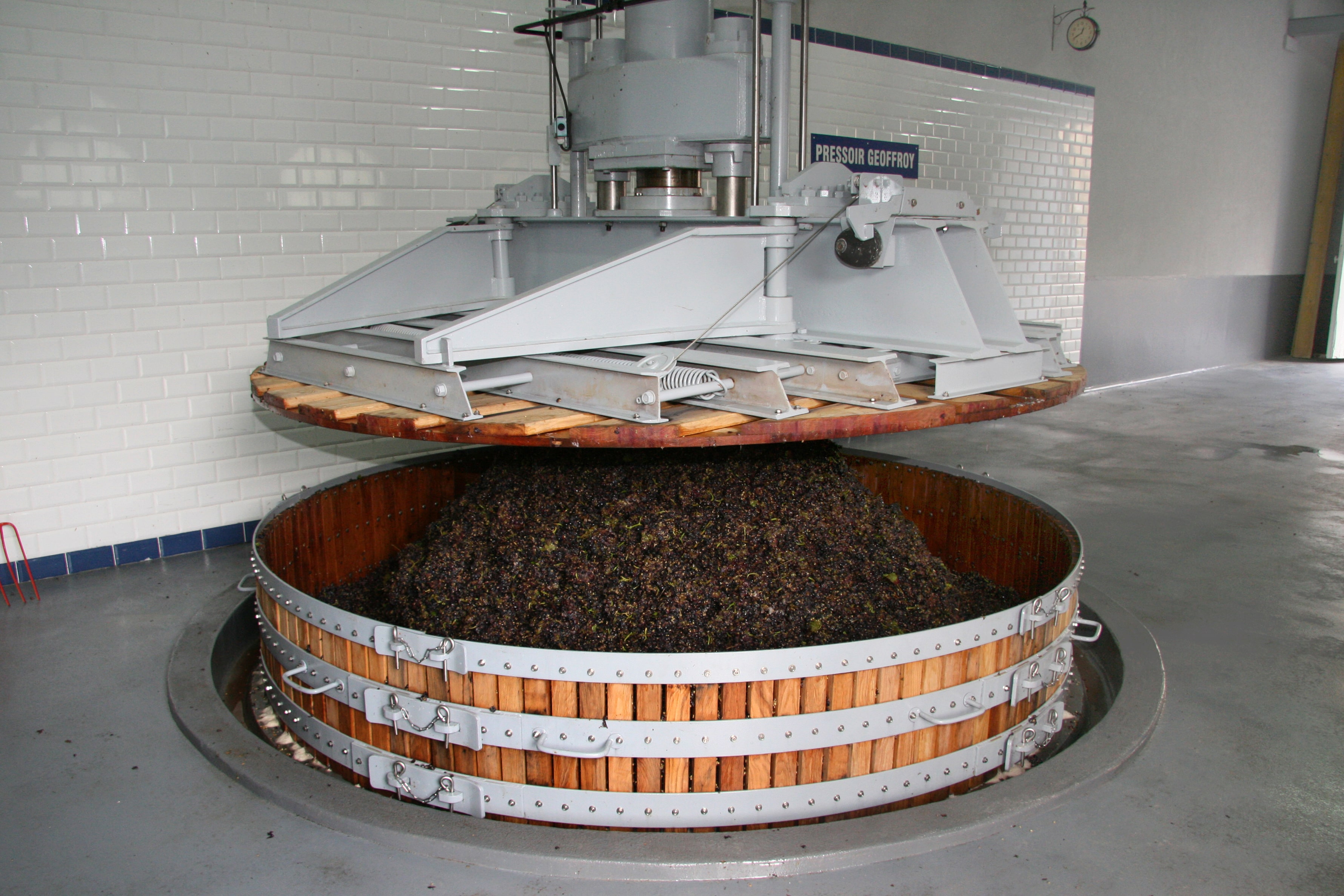 René Geoffroy Grapes in Press