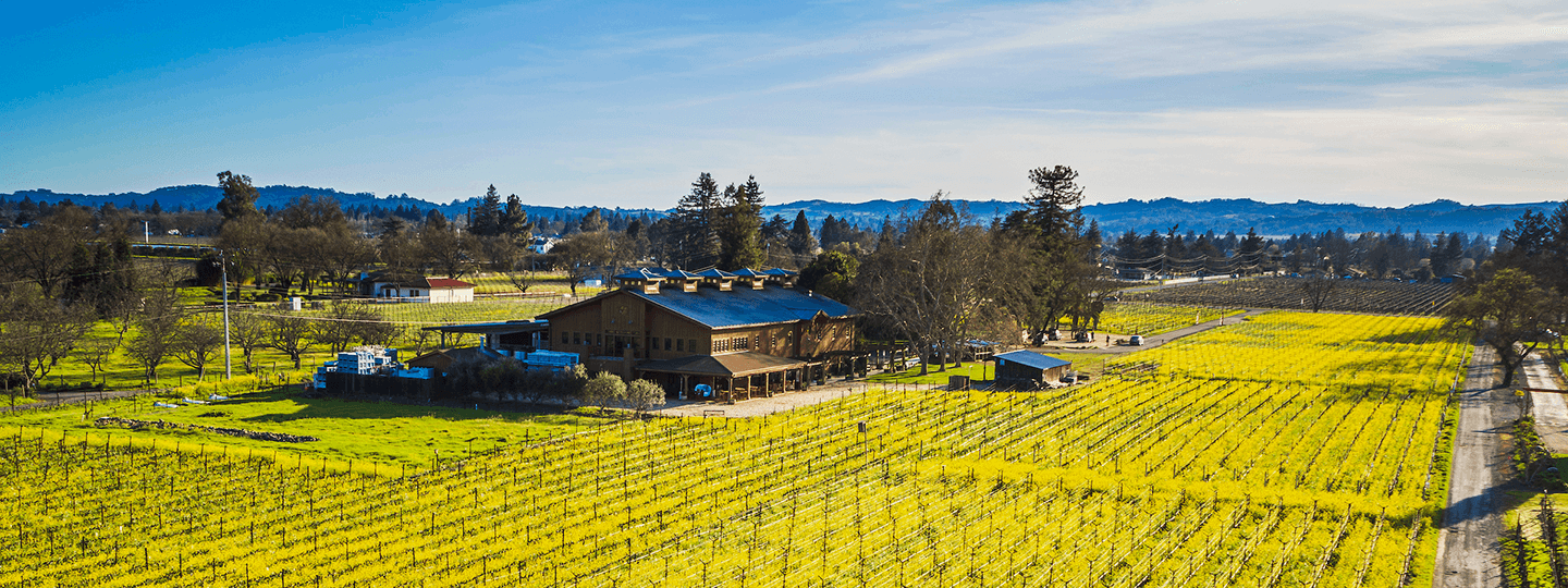 Robert Biale's Winery