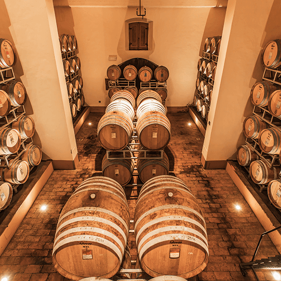 Rocca di Montegrossi's barrel room