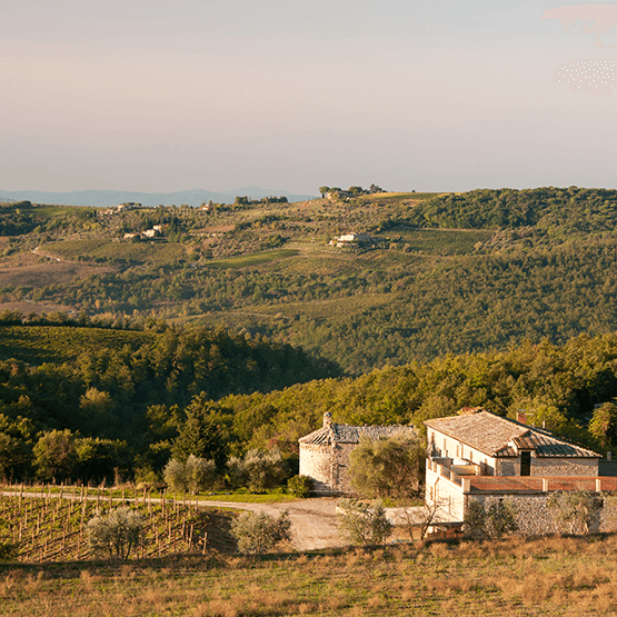 Rocca di Montegrossi's Tuscan Landscape