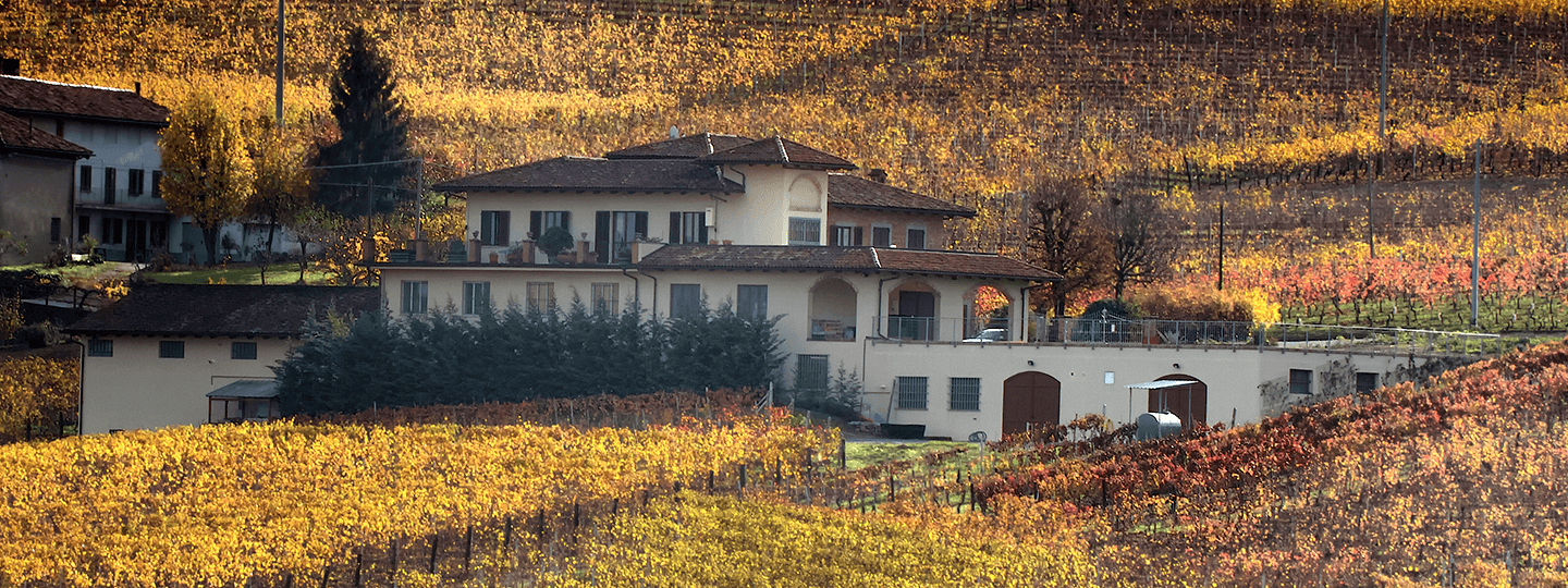 Sottimano vineyard and winery