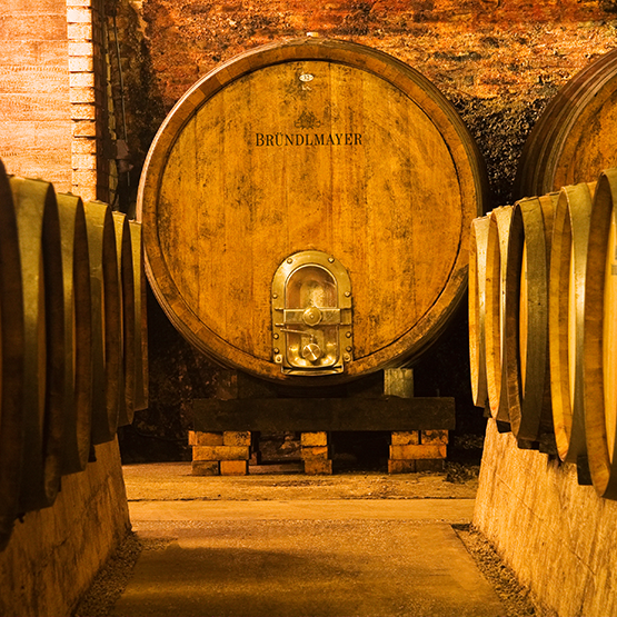 Brundlmayer barrel room