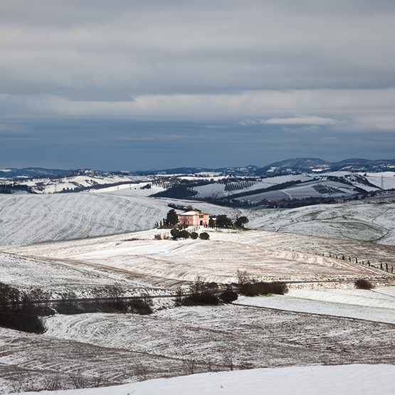 Winter Wines